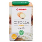 Angolato - Parte anteriore, superiore