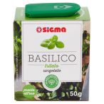 Angolato - Parte anteriore, superiore