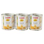 Angolato - Parte anteriore, superiore