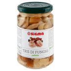 Angolato - Parte anteriore, superiore