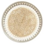 Parte inferiore planogramma