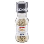 Angolato - Parte anteriore, superiore