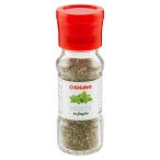 Angolato - Parte anteriore, superiore