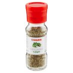 Angolato - Parte anteriore, superiore