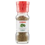 Parte anteriore planogramma