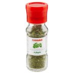 Angolato - Parte anteriore, superiore