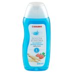 Angolato - Parte anteriore, superiore