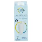 Angolato - Parte anteriore, superiore