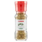 Parte anteriore planogramma