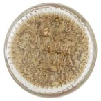 Parte inferiore planogramma