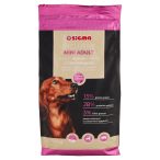 Angolato - Parte anteriore, superiore