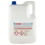 Angolato - Parte anteriore, superiore