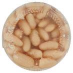 Parte inferiore planogramma