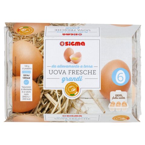 Sigma 6 Uova Fresche grandi da allevamento a terra