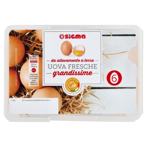 Sigma 6 Uova Fresche grandissime da allevamento a terra