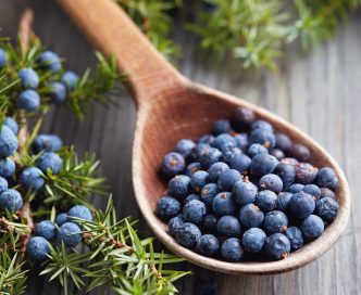 Spezie&Aromi: Il Ginepro