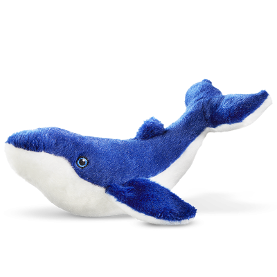 Cards Singoli Premi Short 800x800 Balena