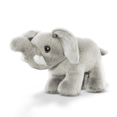 Cards Singoli Premi Short 800x800 Elefante