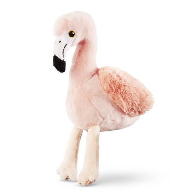 Cards Singoli Premi Short 800x800 Fenicottero