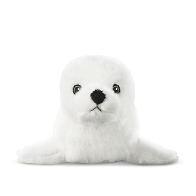 Cards Singoli Premi Short 800x800 Foca