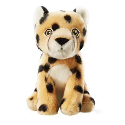 Cards Singoli Premi Short 800x800 Ghepardo